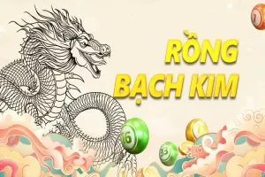 Rồng Bạch Kim là một công cụ hỗ trợ người chơi đặt cược