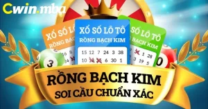 Để thành công trong việc soi cầu rồng bạch kim 247, bạn cần có tính kiên trì và kiên nhẫn