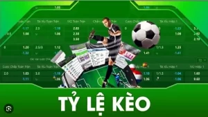 Những Lưu Ý Khi Theo Dõi Tỷ Lệ Kèo Nhà Cái